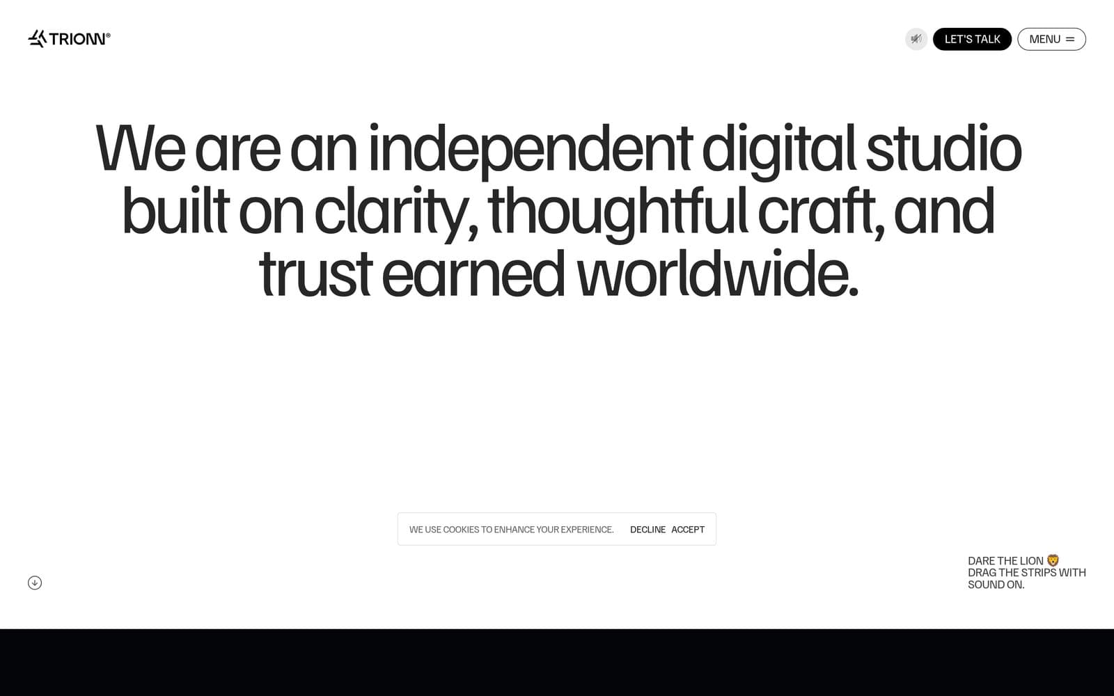 Trionn studio website
